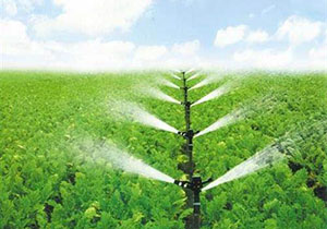 果树全年四次施肥法