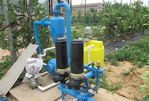 农作物根外施肥好处多