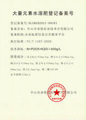 大量元素备案号1