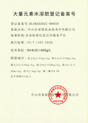 大量元素备案号2