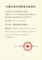 大量元素备案号3